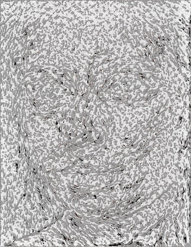 Alex Fischer, Emily, 2017-11-30